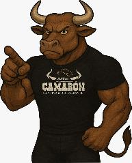 El Camarón